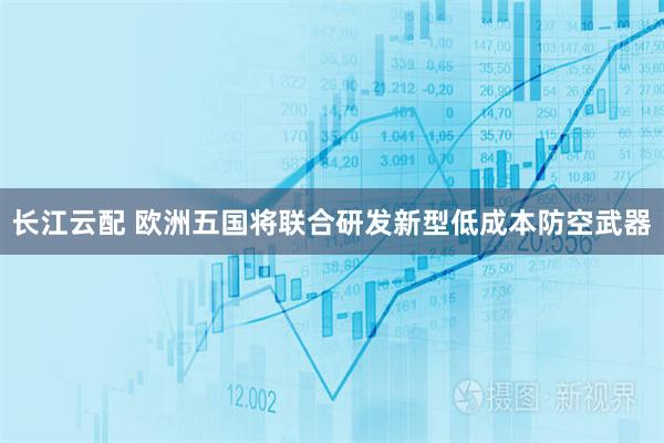 长江云配 欧洲五国将联合研发新型低成本防空武器
