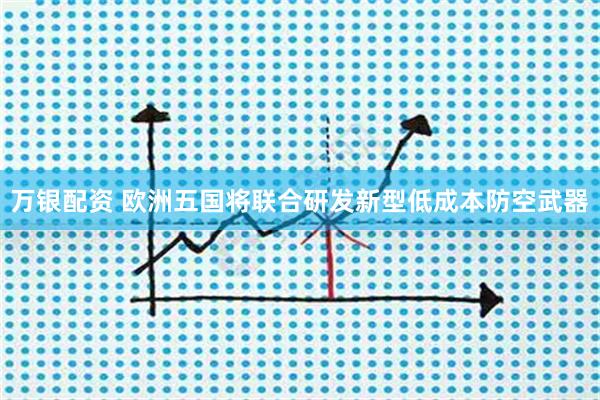 万银配资 欧洲五国将联合研发新型低成本防空武器