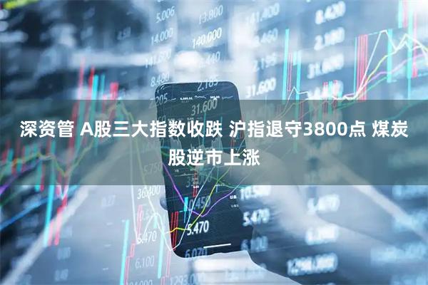 深资管 A股三大指数收跌 沪指退守3800点 煤炭股逆市上涨