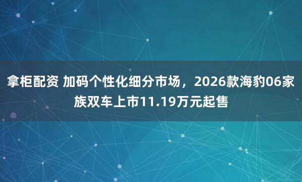 拿柜配资 加码个性化细分市场，2026款海豹06家族双车上市11.19万元起售