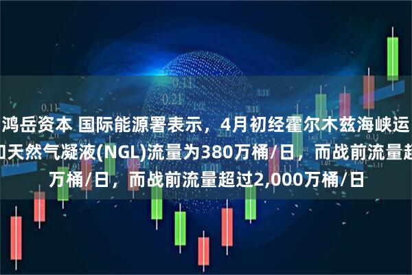 鸿岳资本 国际能源署表示，4月初经霍尔木兹海峡运输的原油、燃料和天然气凝液(NGL)流量为380万桶/日，而战前流量超过2,000万桶/日