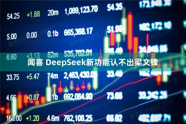闻喜 DeepSeek新功能认不出梁文锋
