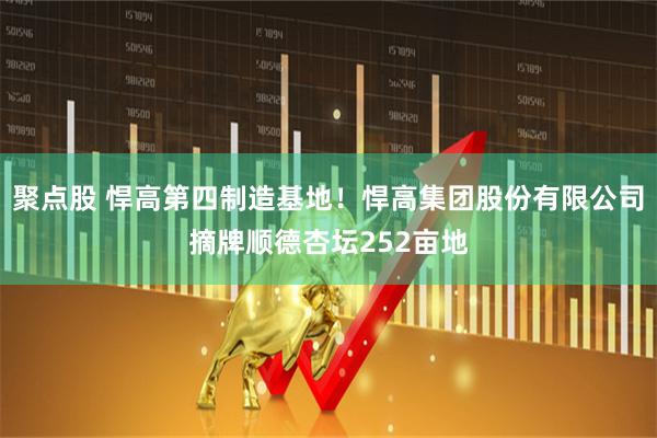 聚点股 悍高第四制造基地！悍高集团股份有限公司摘牌顺德杏坛252亩地