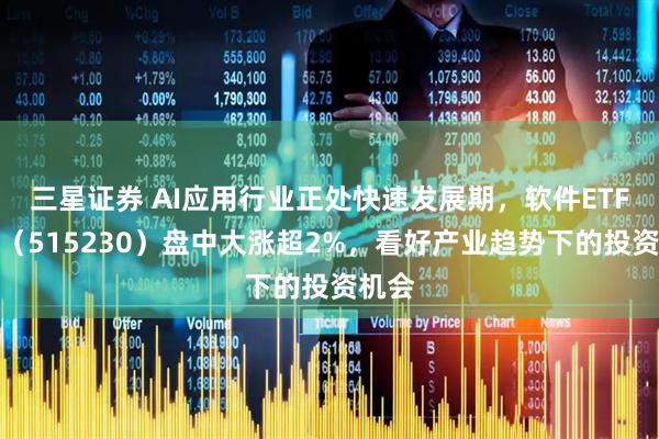 三星证券 AI应用行业正处快速发展期，软件ETF国泰（515230）盘中大涨超2%，看好产业趋势下的投资机会