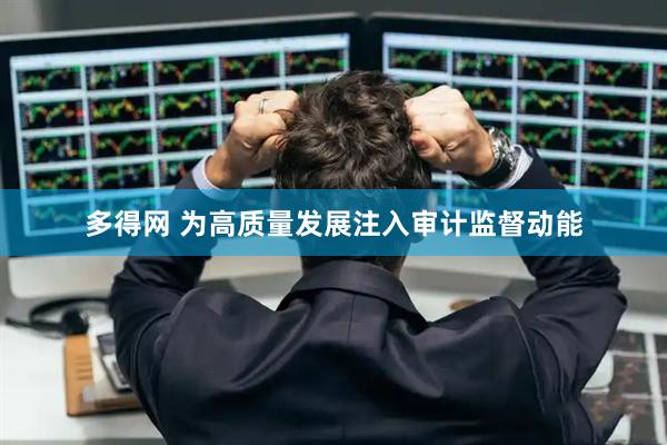 多得网 为高质量发展注入审计监督动能