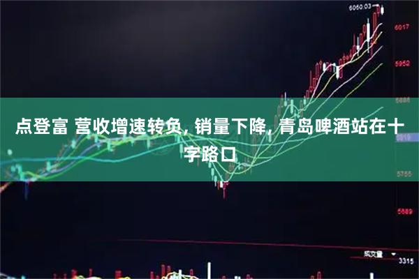 点登富 营收增速转负, 销量下降, 青岛啤酒站在十字路口