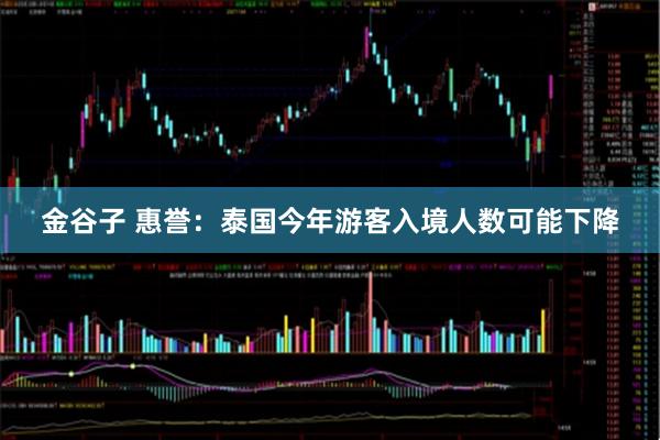 金谷子 惠誉：泰国今年游客入境人数可能下降
