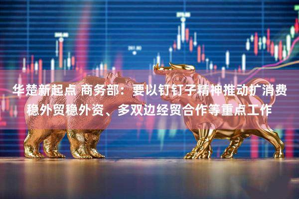 华楚新起点 商务部：要以钉钉子精神推动扩消费稳外贸稳外资、多双边经贸合作等重点工作